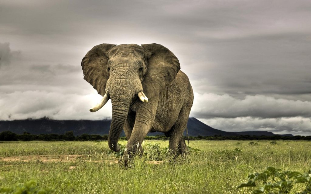 day tours from Johannesburg