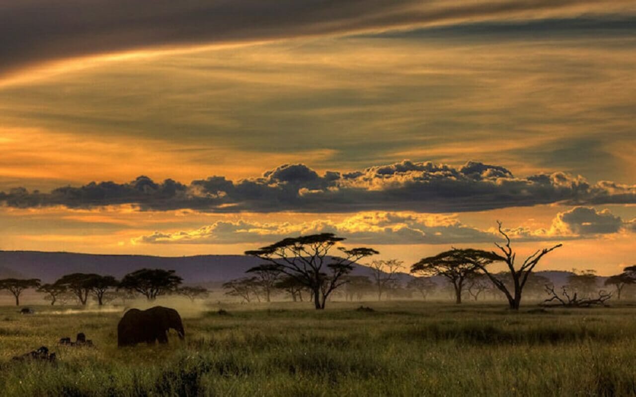 half day tours from Johannesburg