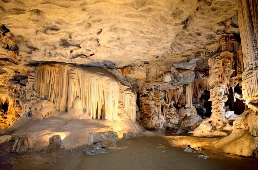 Sterkfontein caves tour and walking with elephants