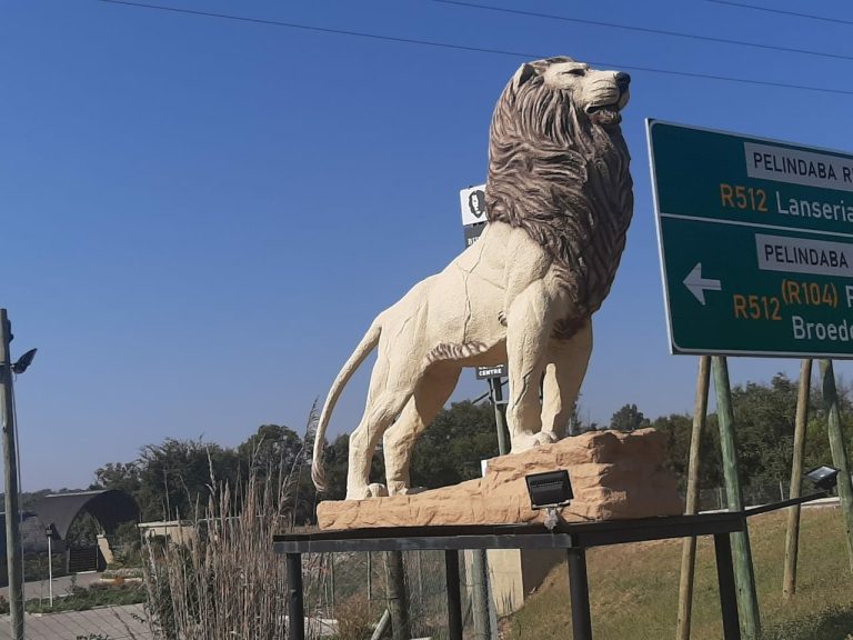 White River Rafting Through the Lion Park Tour