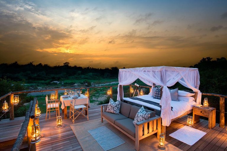South African Safari