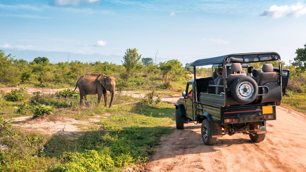 half day tours from Johannesburg